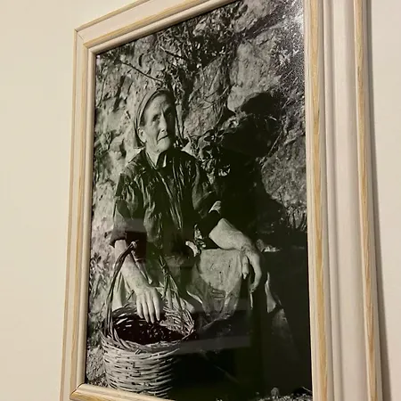 Apartment L'ulivo In Centro Bari