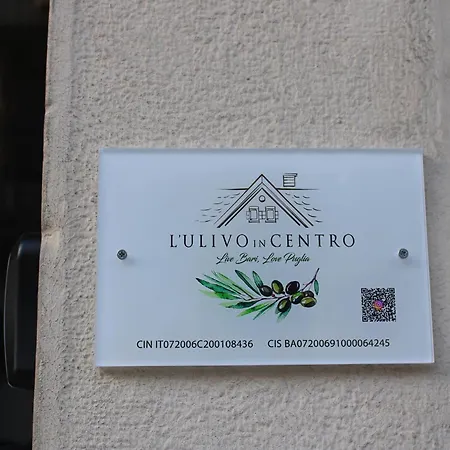 Apartment L'ulivo In Centro