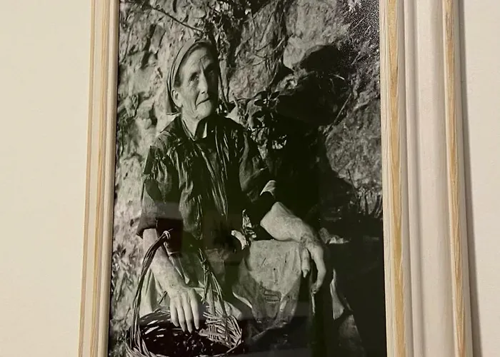 Apartment L'ulivo In Centro Bari